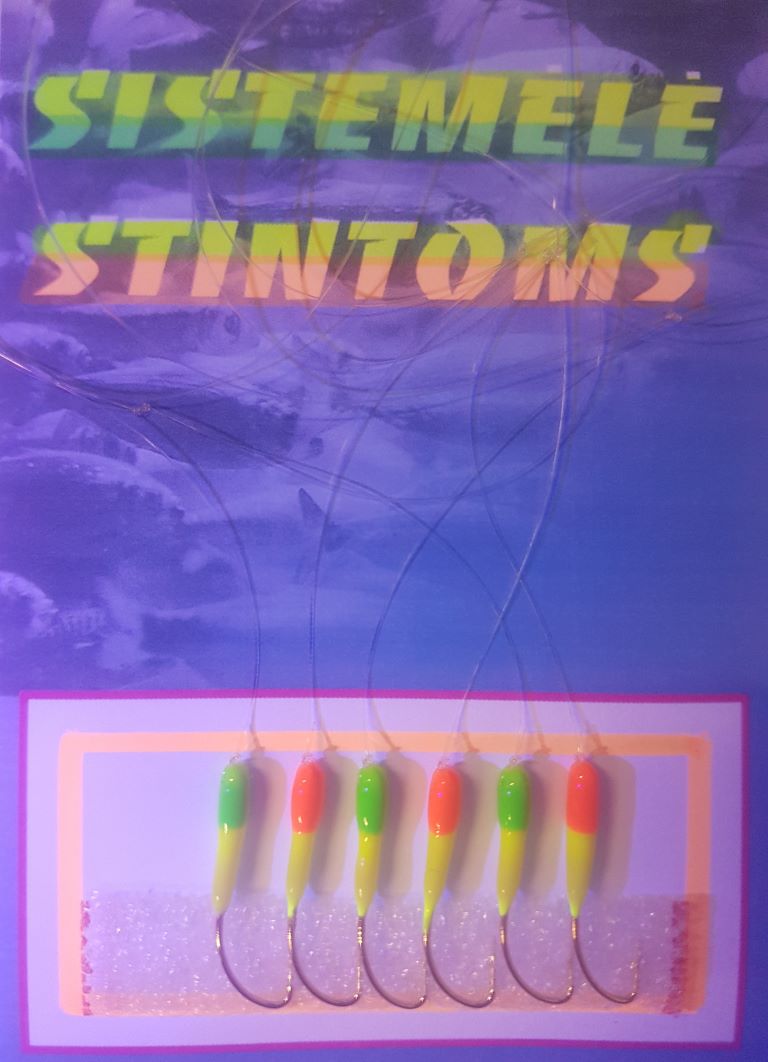Sistemėlė STINTOMS -6 įvariaspalviais galiukais